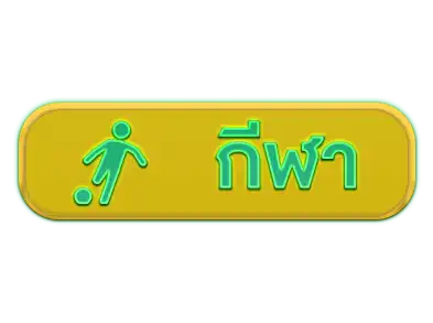 แบนเนอร์ 13