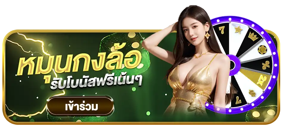 แบนเนอร์ 5